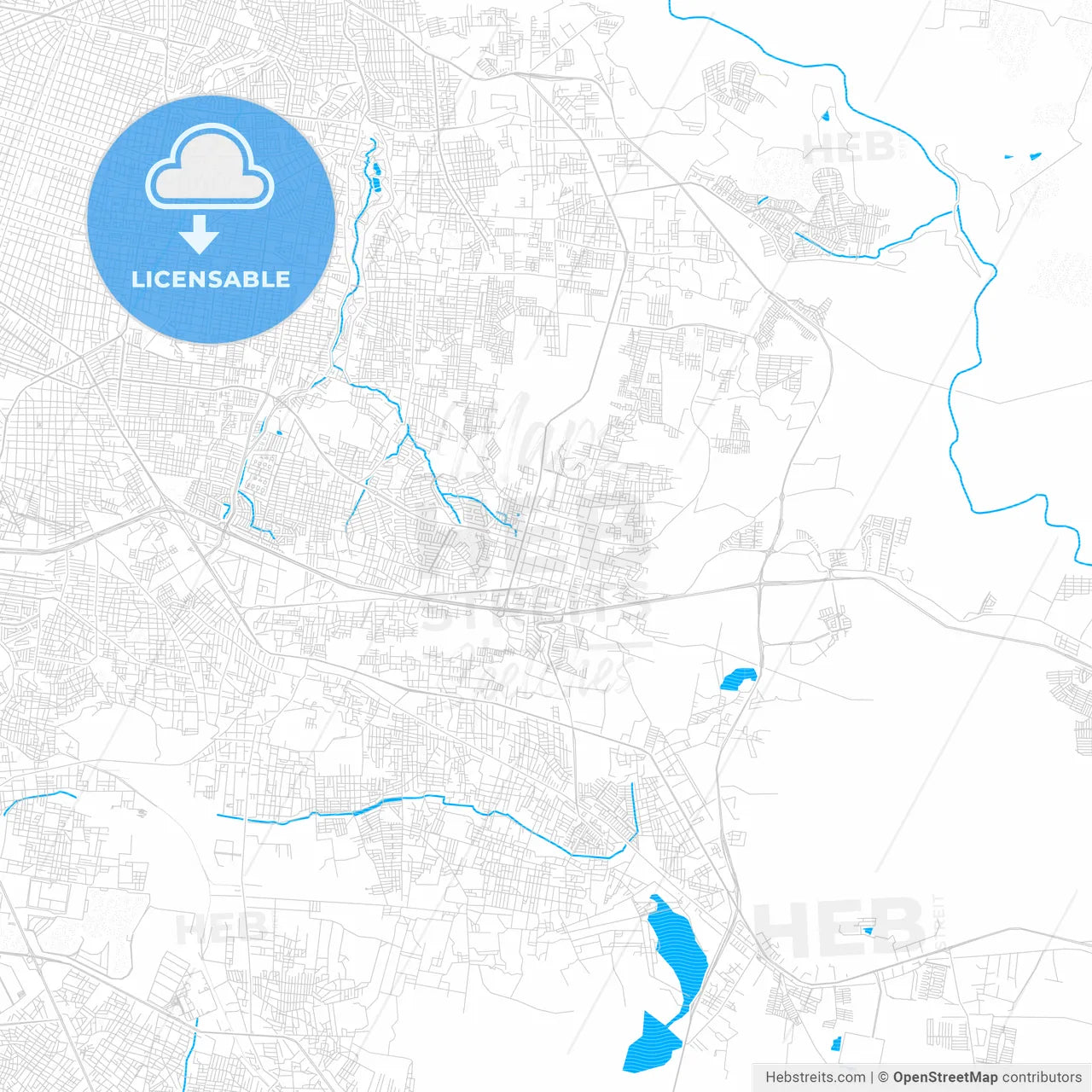 Tonalá, Mexico PDF vector map with water in focus