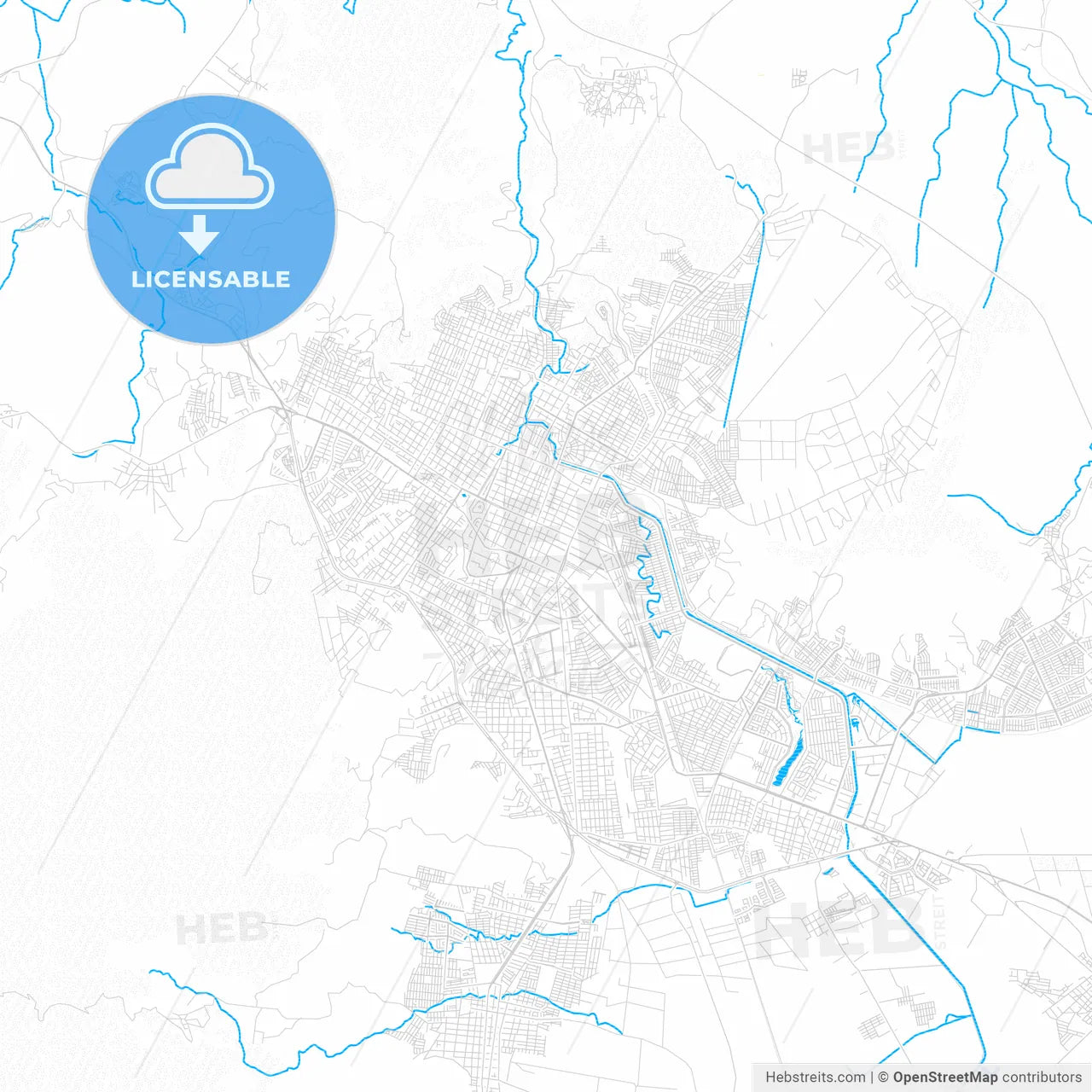 Tepic, Mexico PDF vector map with water in focus