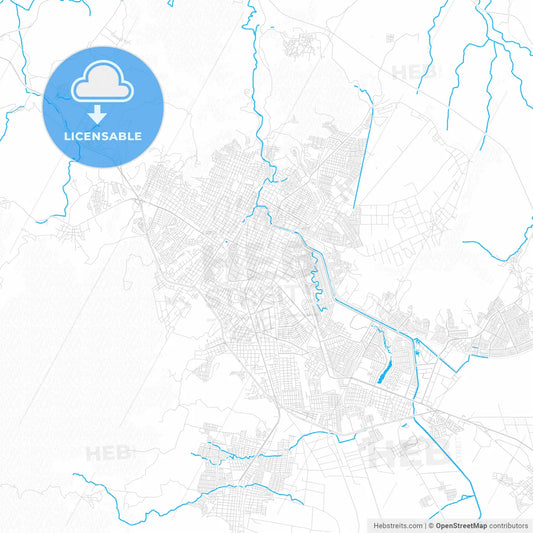 Tepic, Mexico PDF vector map with water in focus