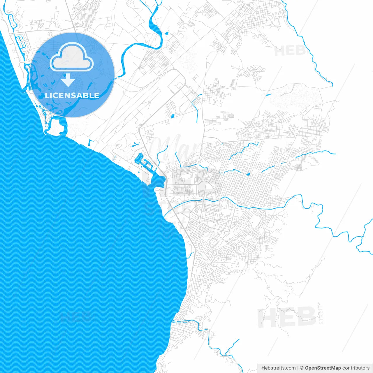 Puerto Vallarta, Mexico PDF vector map with water in focus