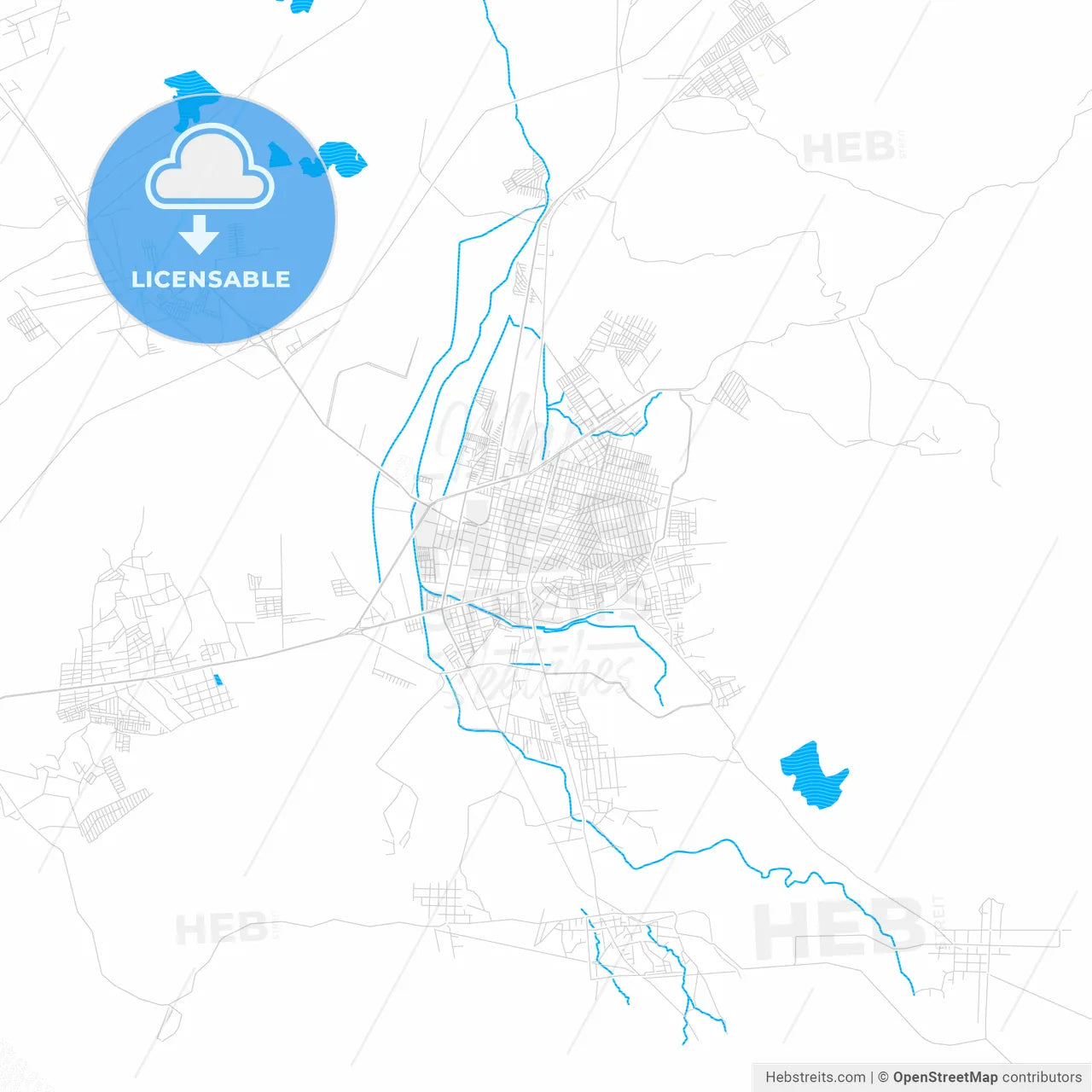 Tulancingo, Mexico PDF vector map with water in focus
