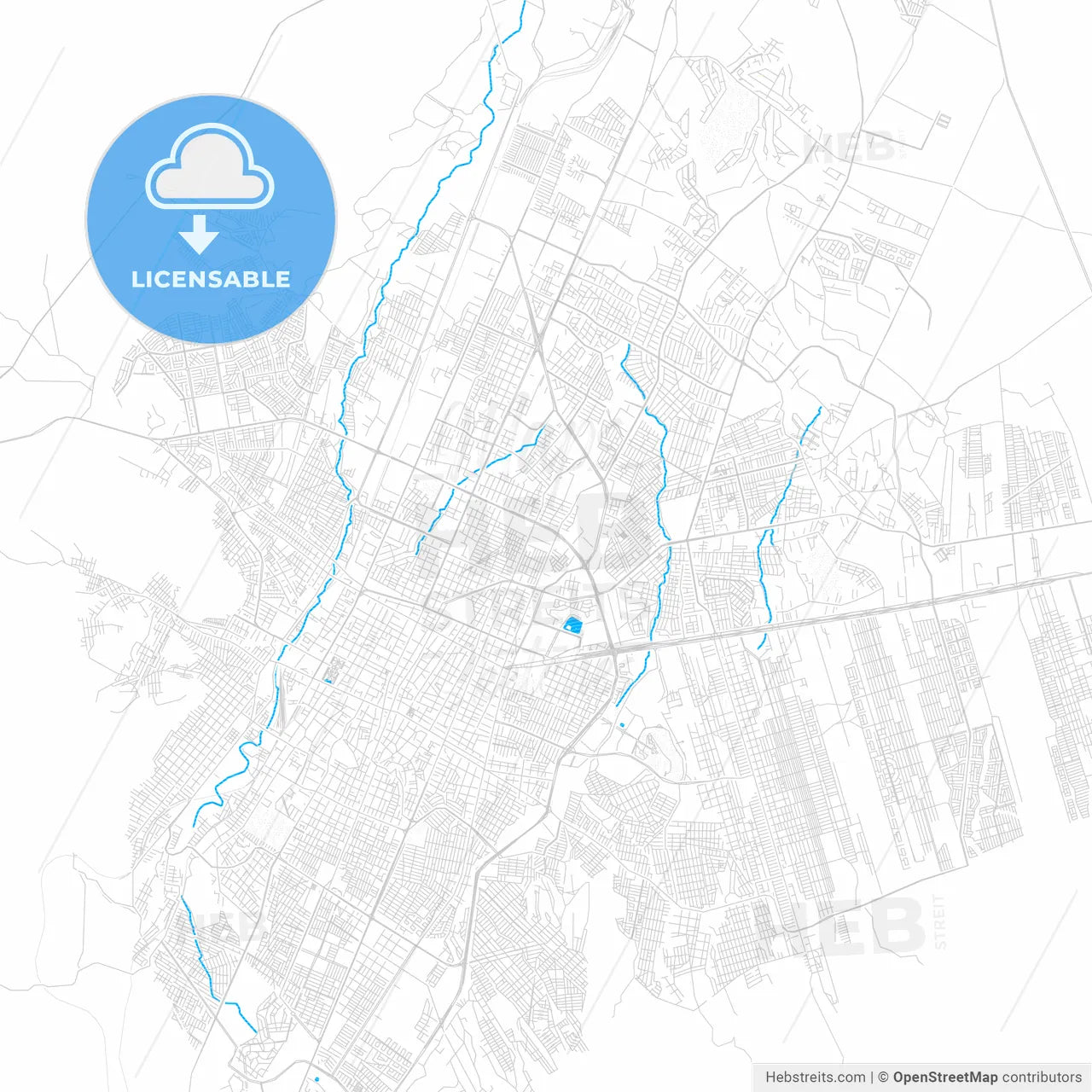 Saltillo, Mexico PDF vector map with water in focus
