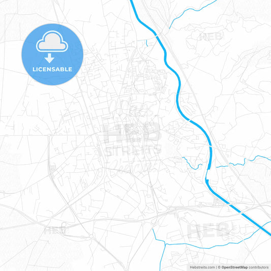 Salon-de-Provence, France PDF vector map with water in focus