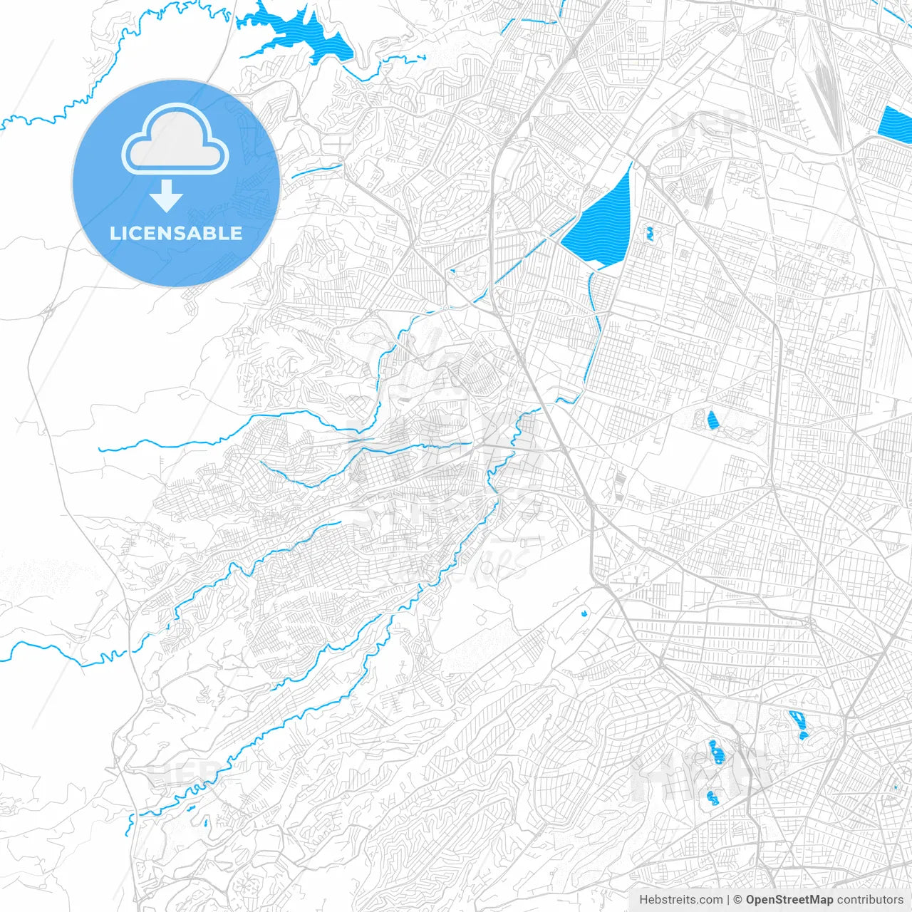 Naucalpan, Mexico PDF vector map with water in focus