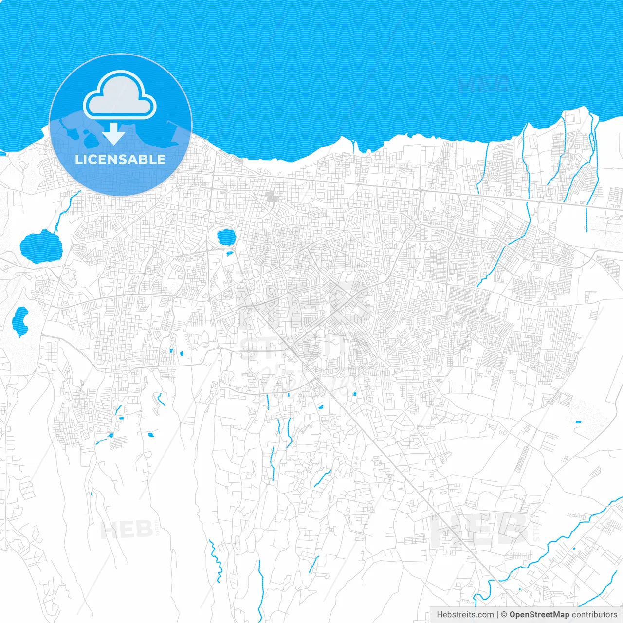 Managua, Nicaragua PDF vector map with water in focus