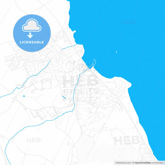 Balbriggan, Ireland PDF vector map with water in focus