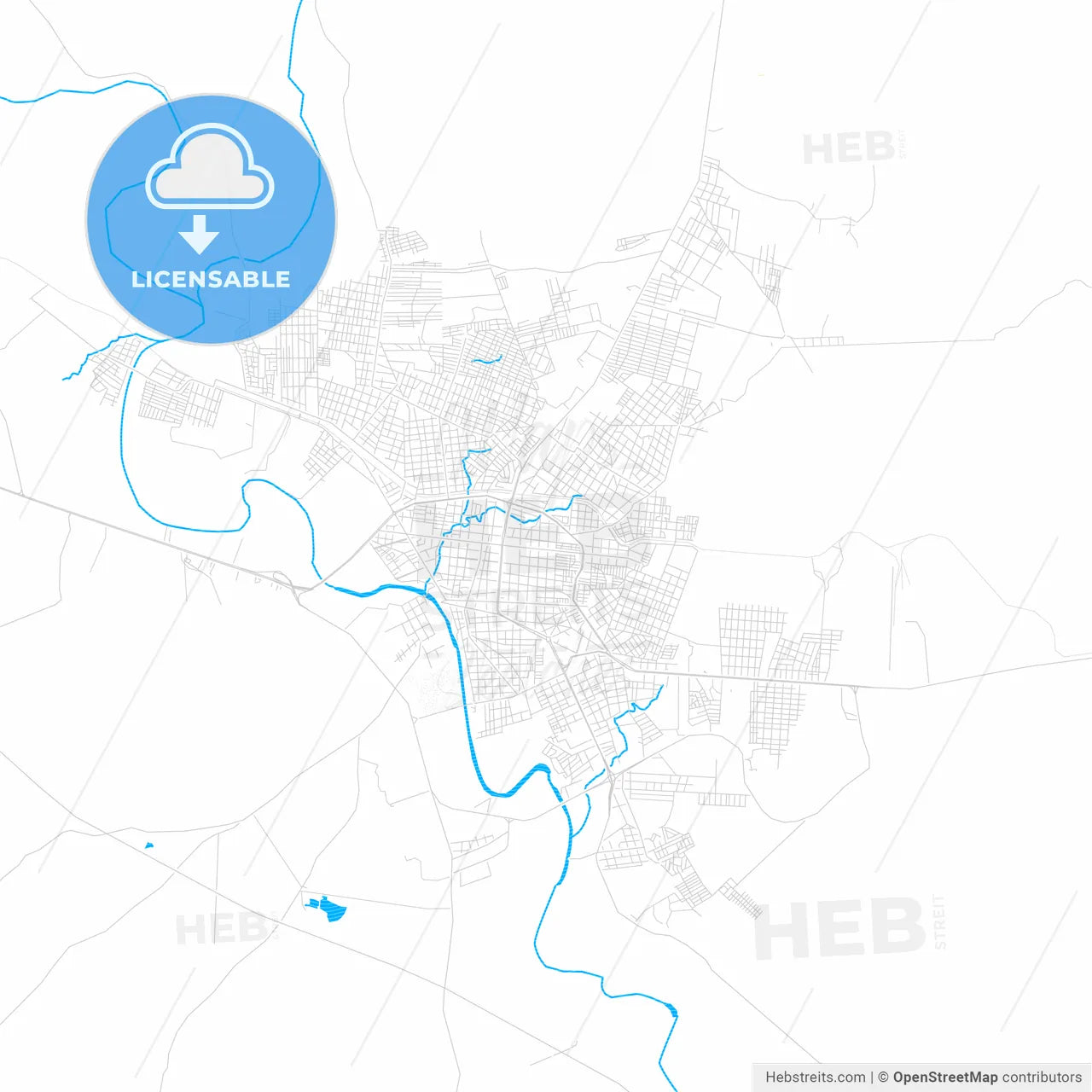 Ciudad Valles, Mexico PDF vector map with water in focus