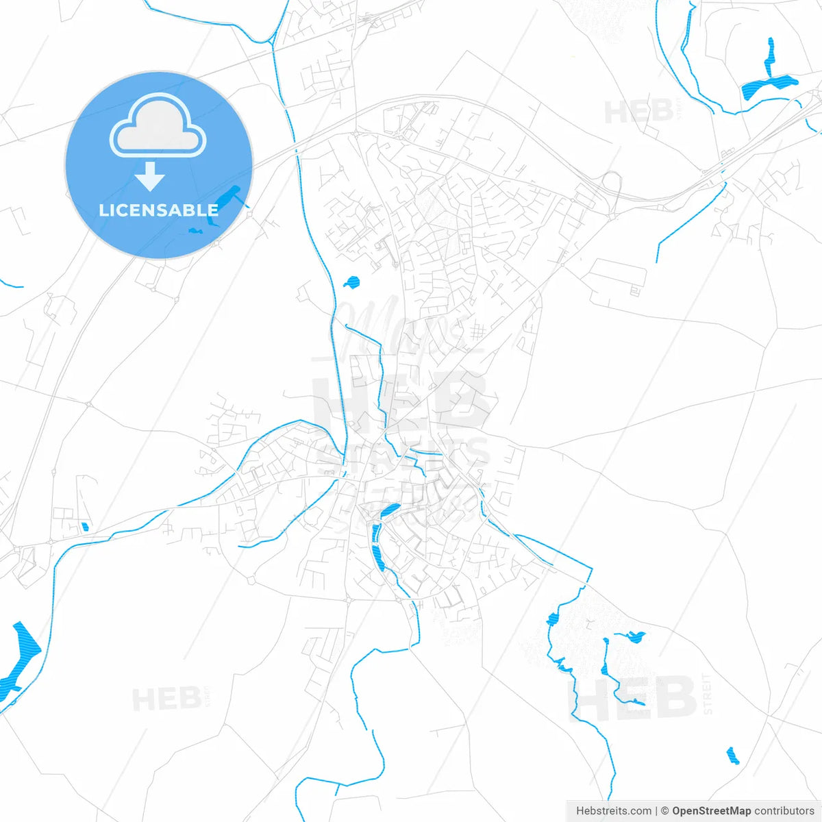 Naas, Ireland PDF vector map with water in focus
