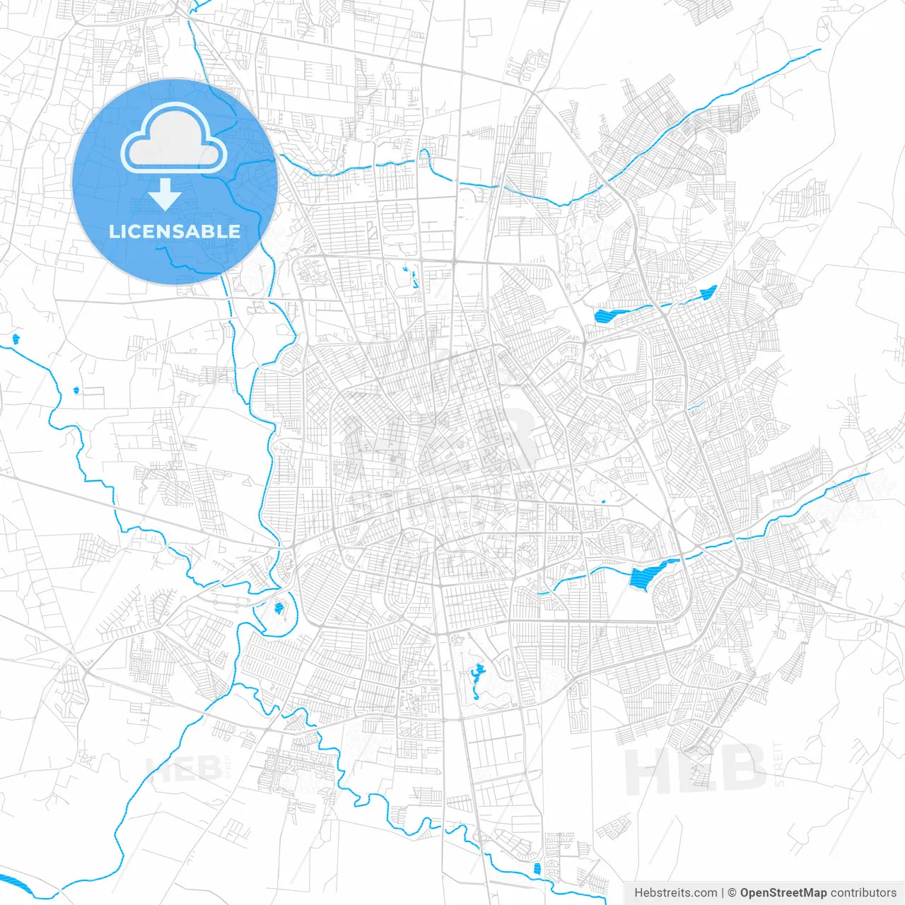Aguascalientes, Mexico PDF vector map with water in focus