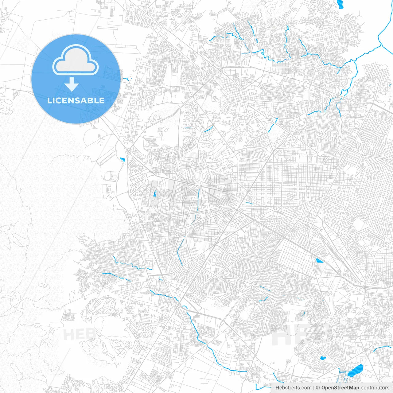 León, Mexico PDF vector map with water in focus