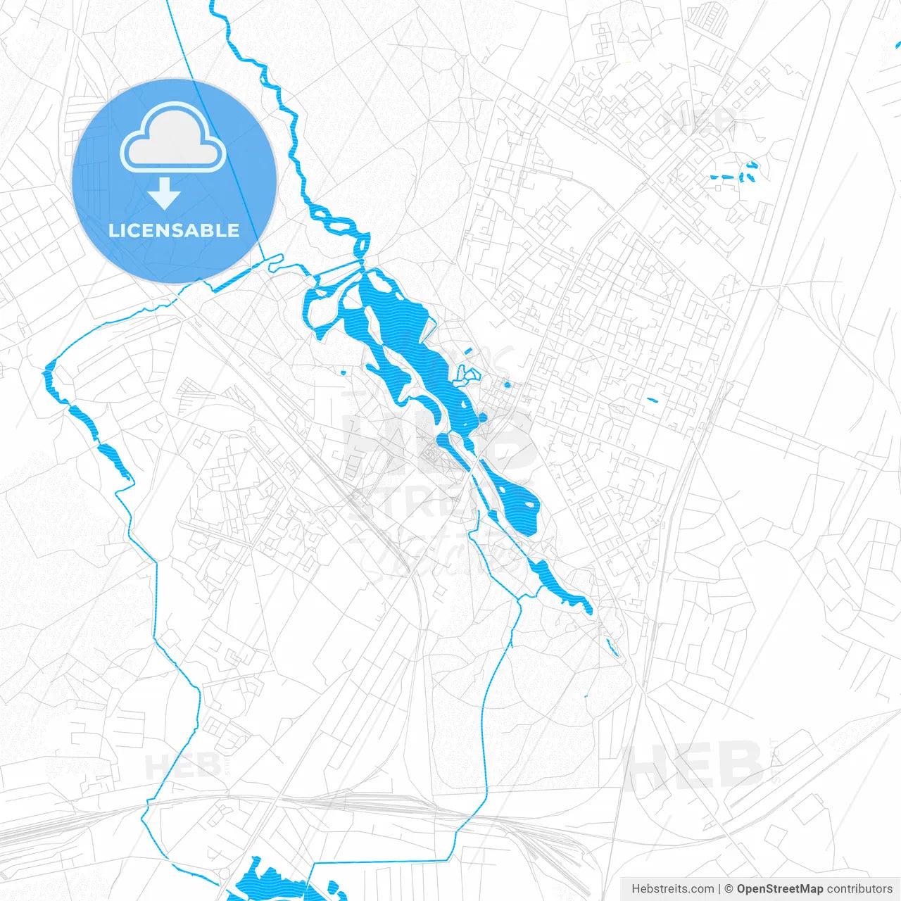 Gatchina, Russia PDF vector map with water in focus