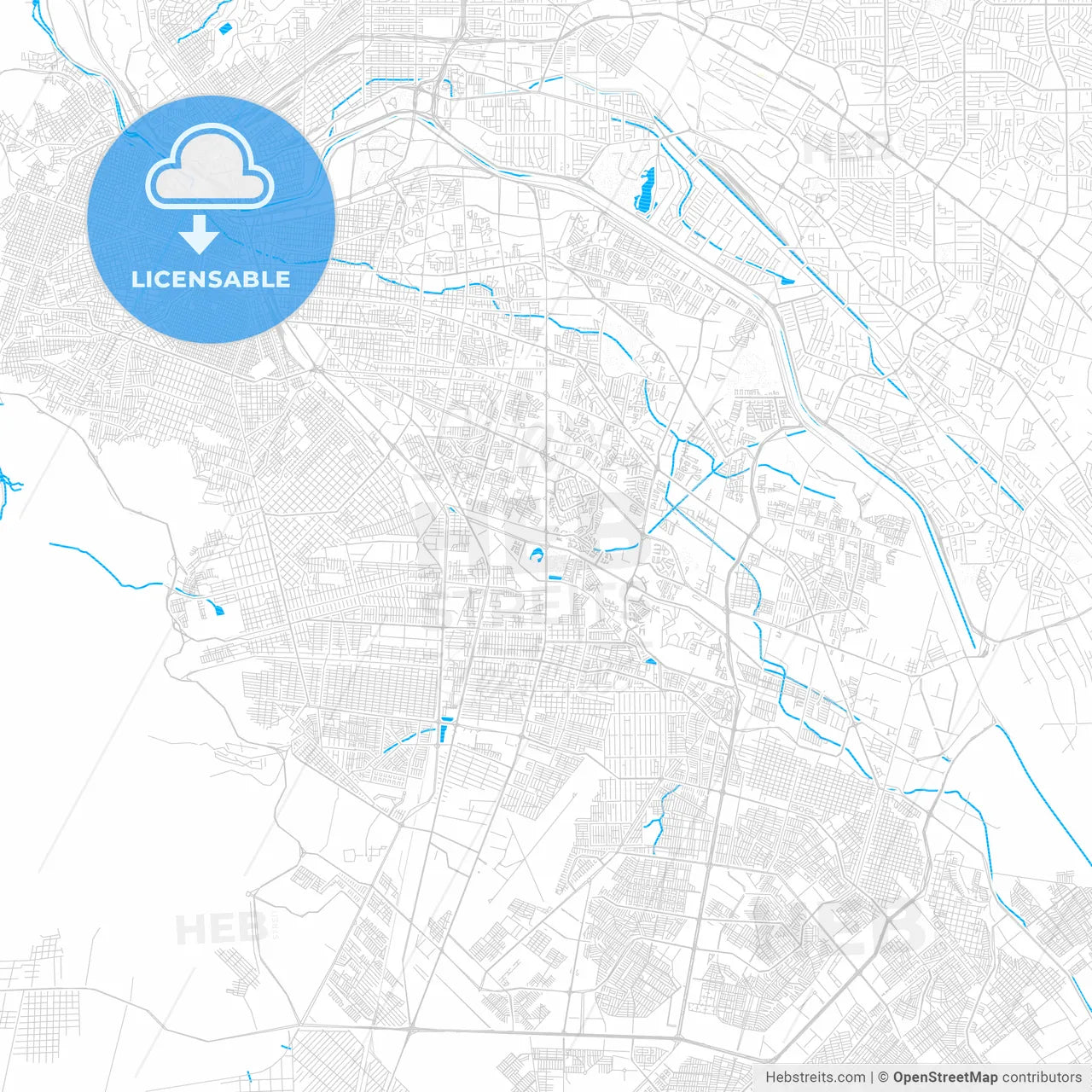 Juárez, Mexico PDF vector map with water in focus