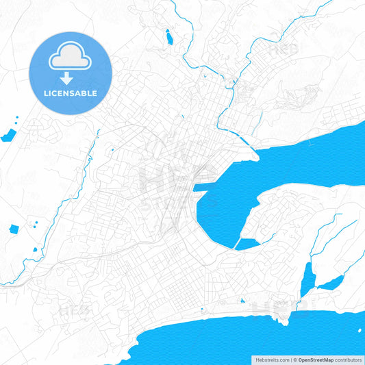 Dunedin, New Zealand PDF vector map with water in focus