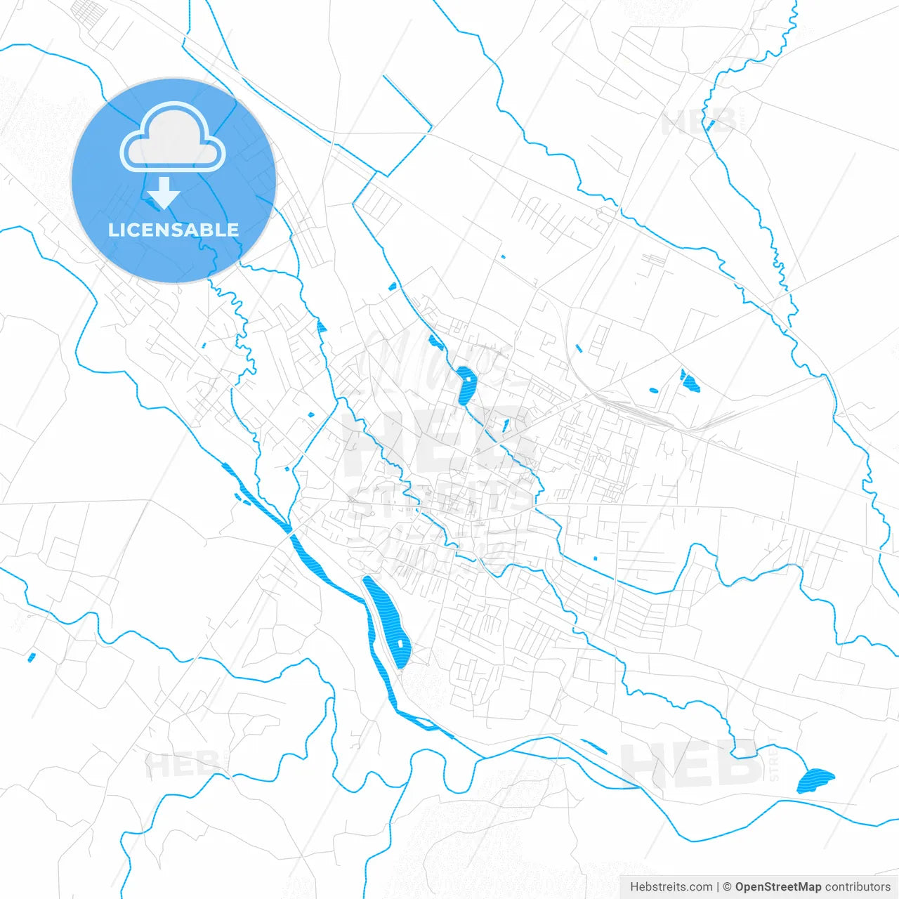 Kolomyia, Ukraine PDF vector map with water in focus