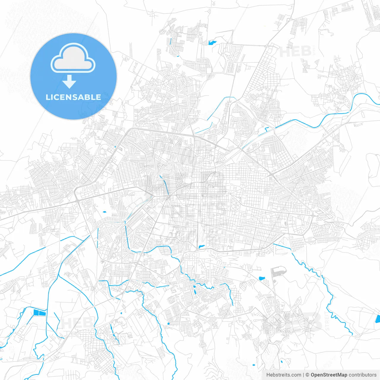 Morelia, Mexico PDF vector map with water in focus