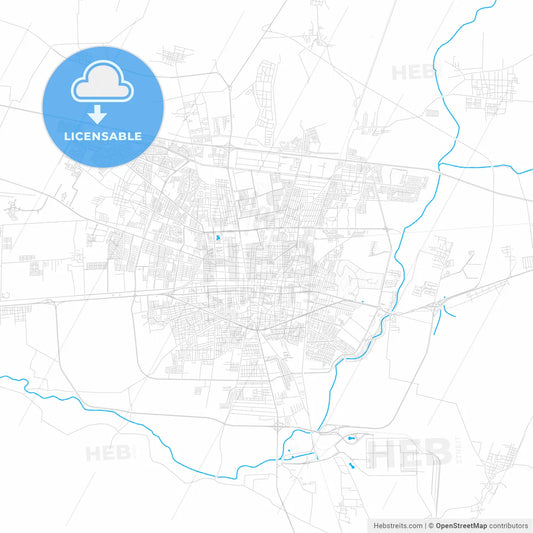 Celaya, Mexico PDF vector map with water in focus
