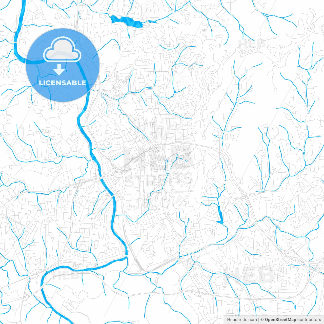 Asheville, North Carolina, United States, PDF vector map with water in focus