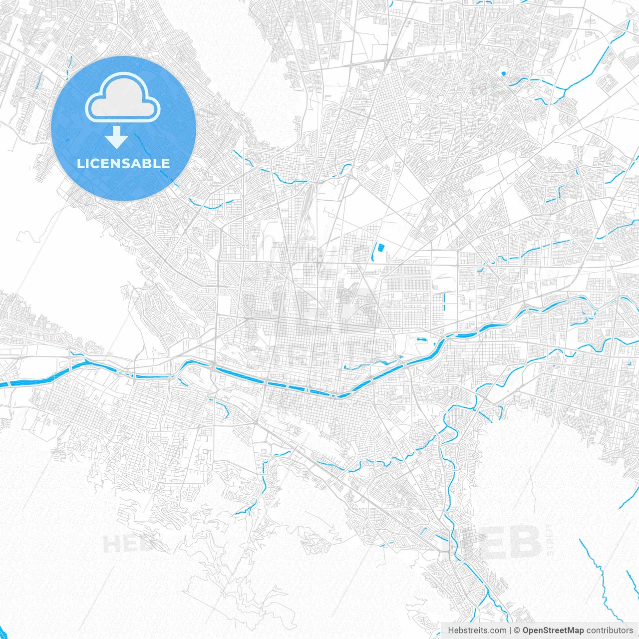 Monterrey, Mexico PDF vector map with water in focus