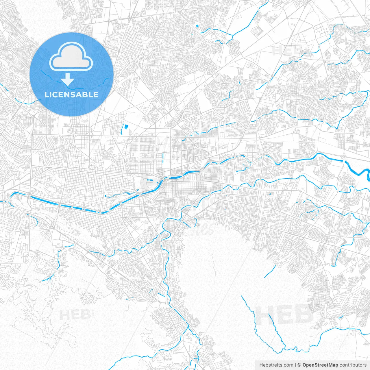 Guadalupe, Mexico PDF vector map with water in focus