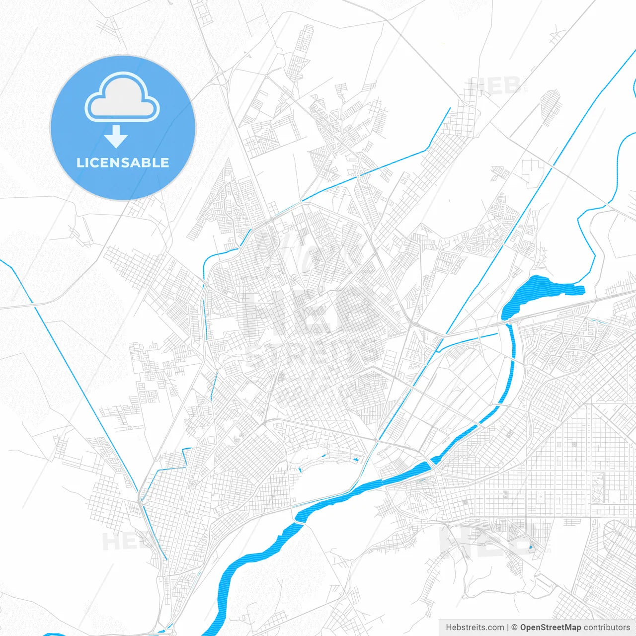 Gómez Palacio, Mexico PDF vector map with water in focus