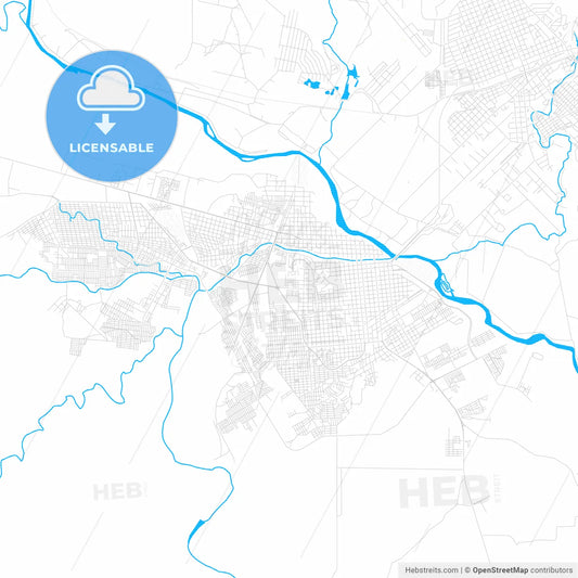 Ciudad Acuña, Mexico PDF vector map with water in focus