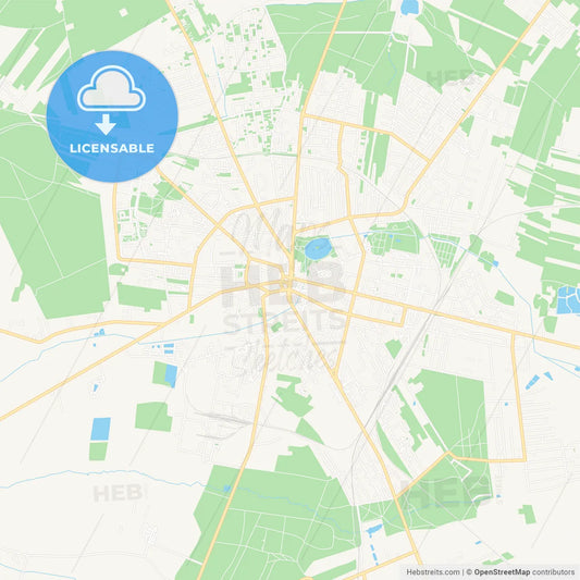 Zgierz, Poland Vector Map - Classic Colors