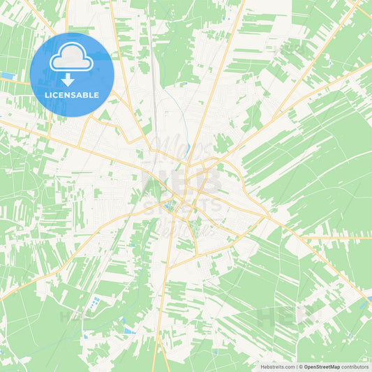 Radomsko, Poland Vector Map - Classic Colors