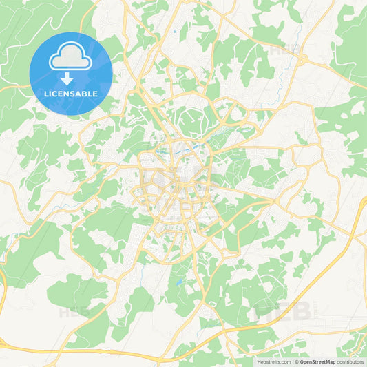 Viseu, Portugal Vector Map - Classic Colors