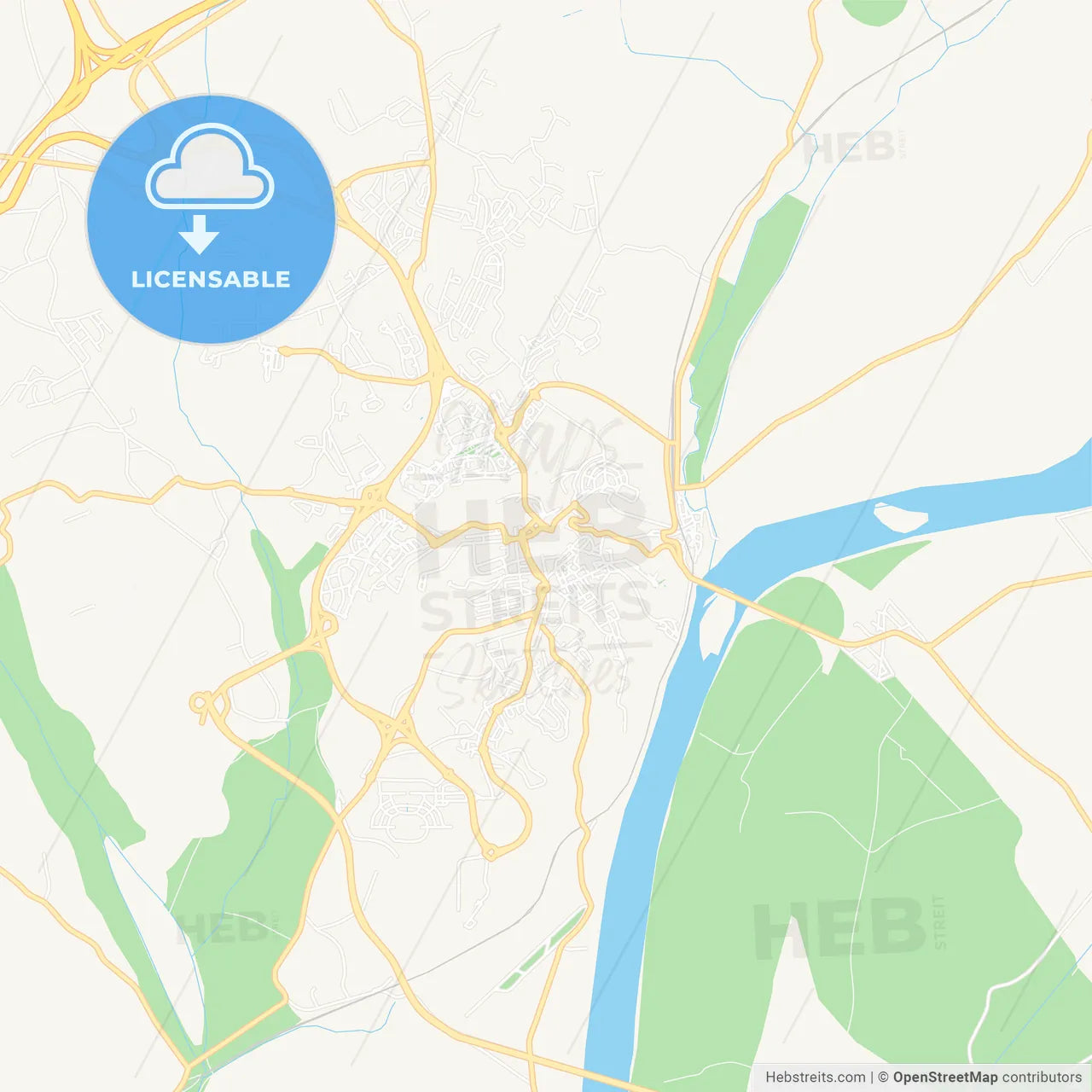 Santarem, Portugal Vector Map - Classic Colors