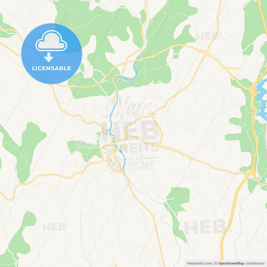 Tomar, Portugal Vector Map - Classic Colors