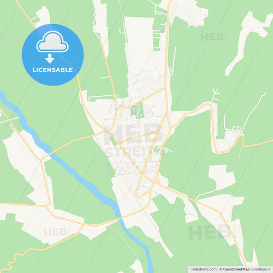 Vaslui, Romania Vector Map - Classic Colors