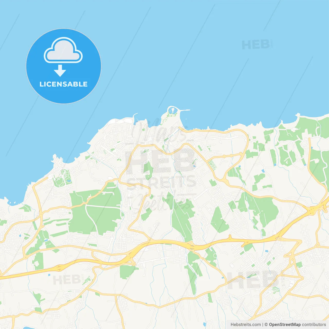 Puerto de la Cruz, Spain Vector Map - Classic Colors