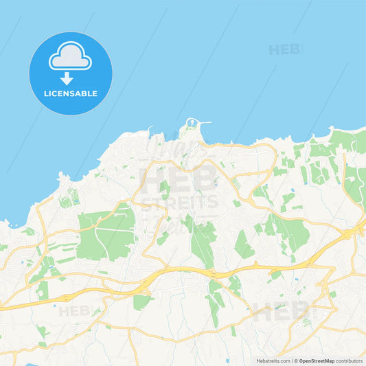 Puerto de la Cruz, Spain Vector Map - Classic Colors