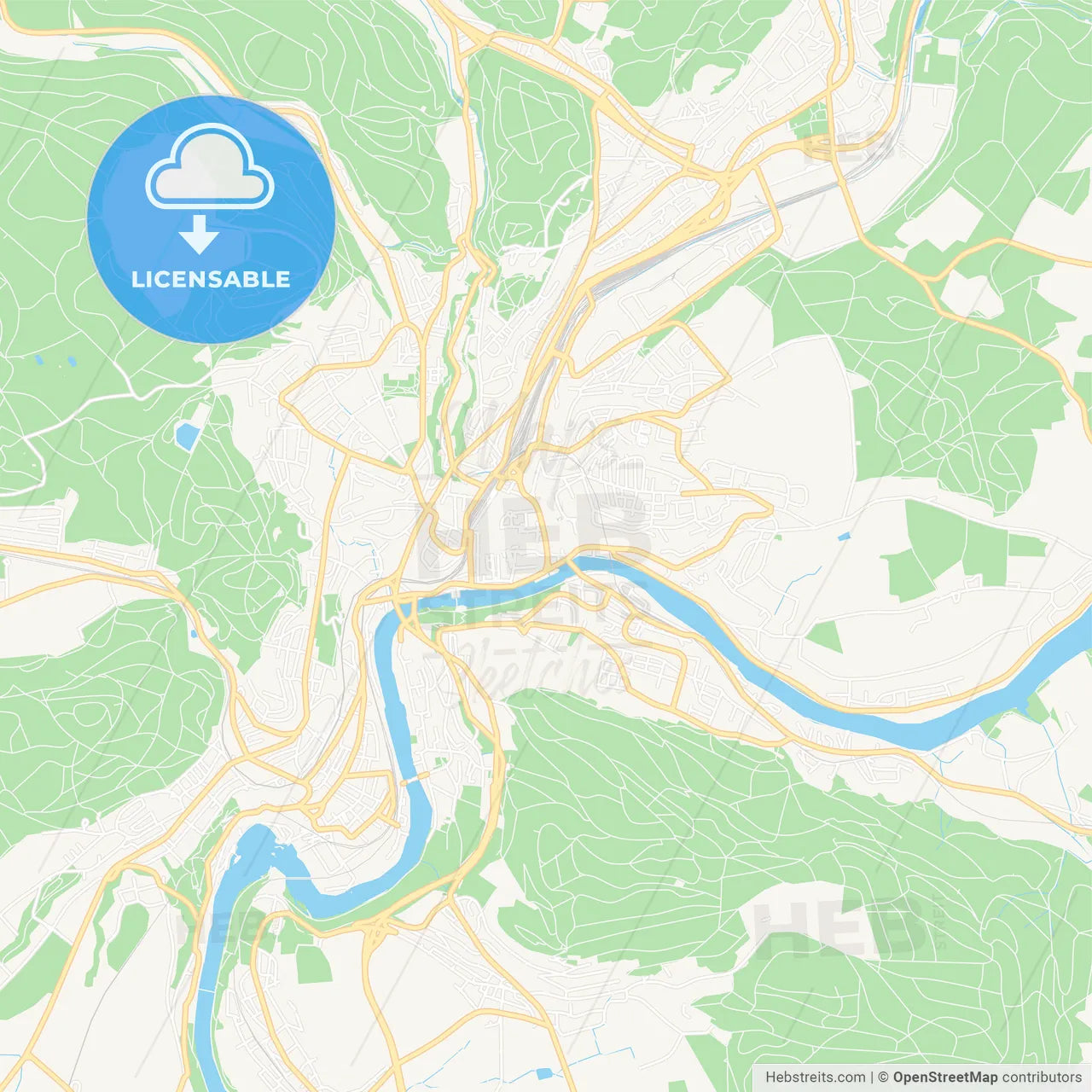 Schaffhausen, Switzerland Vector Map - Classic Colors