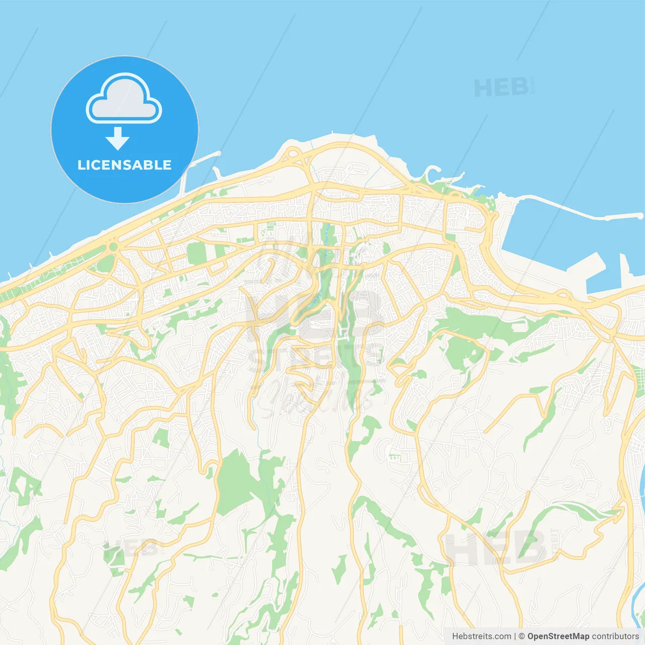 Trabzon, Turkey Vector Map - Classic Colors