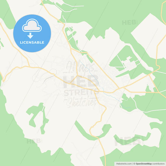 Husi, Romania Vector Map - Classic Colors