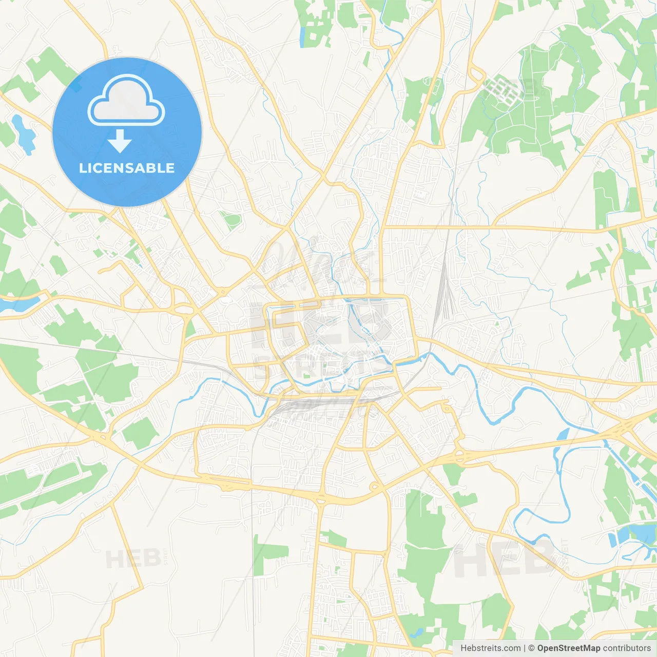 Treviso, Italy Vector Map - Classic Colors