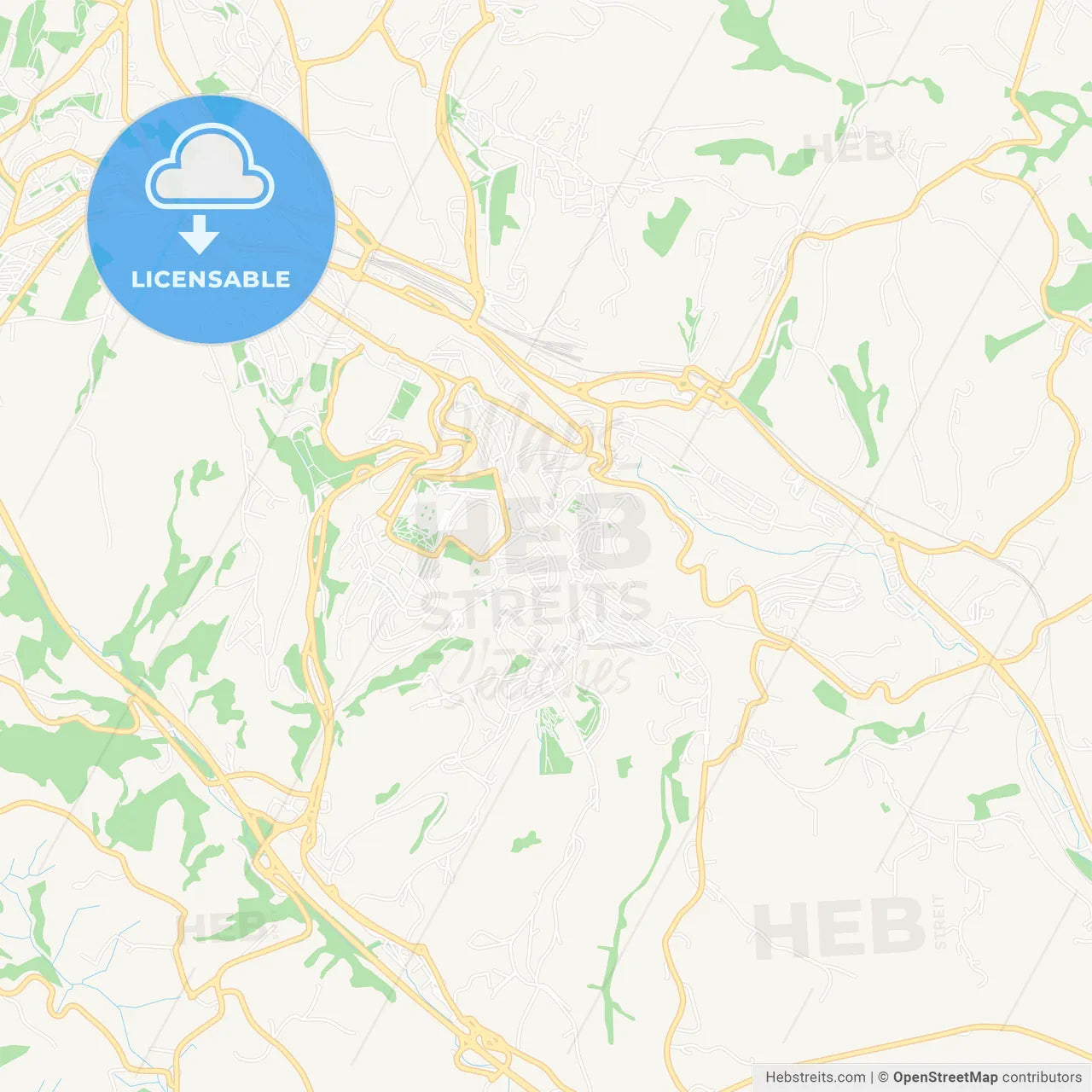 Siena, Italy Vector Map - Classic Colors