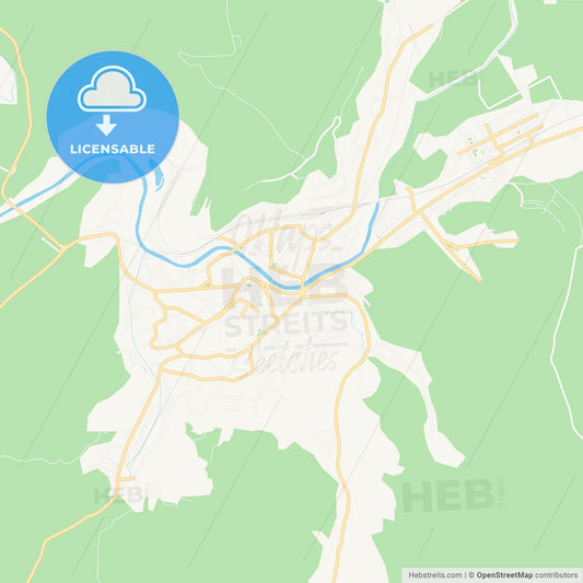 Sighisoara, Romania Vector Map - Classic Colors