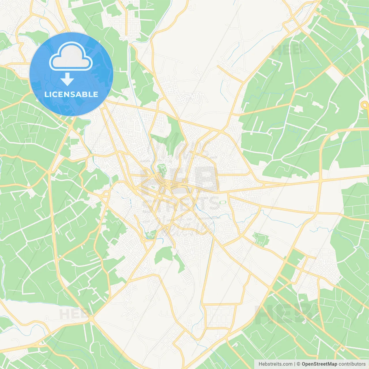 Trikala, Greece Vector Map - Classic Colors