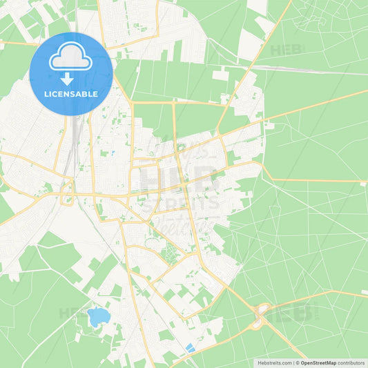 Leszno, Poland Vector Map - Classic Colors