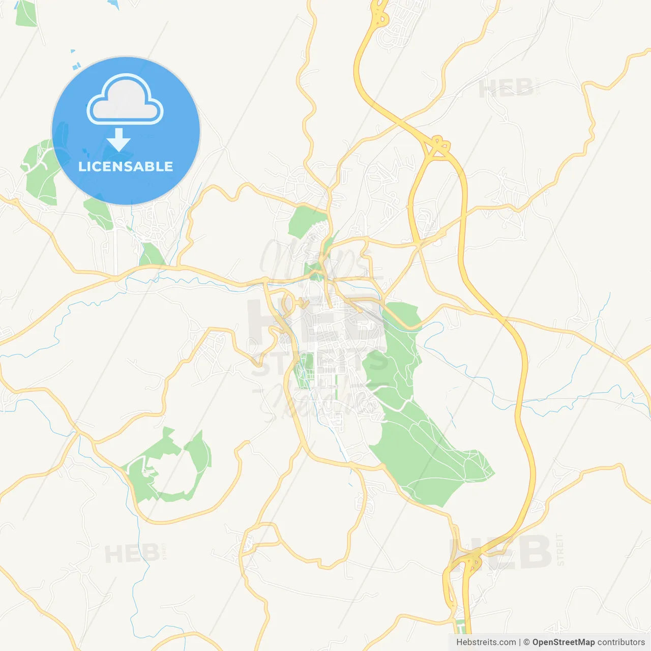 Torres Vedras, Portugal Vector Map - Classic Colors