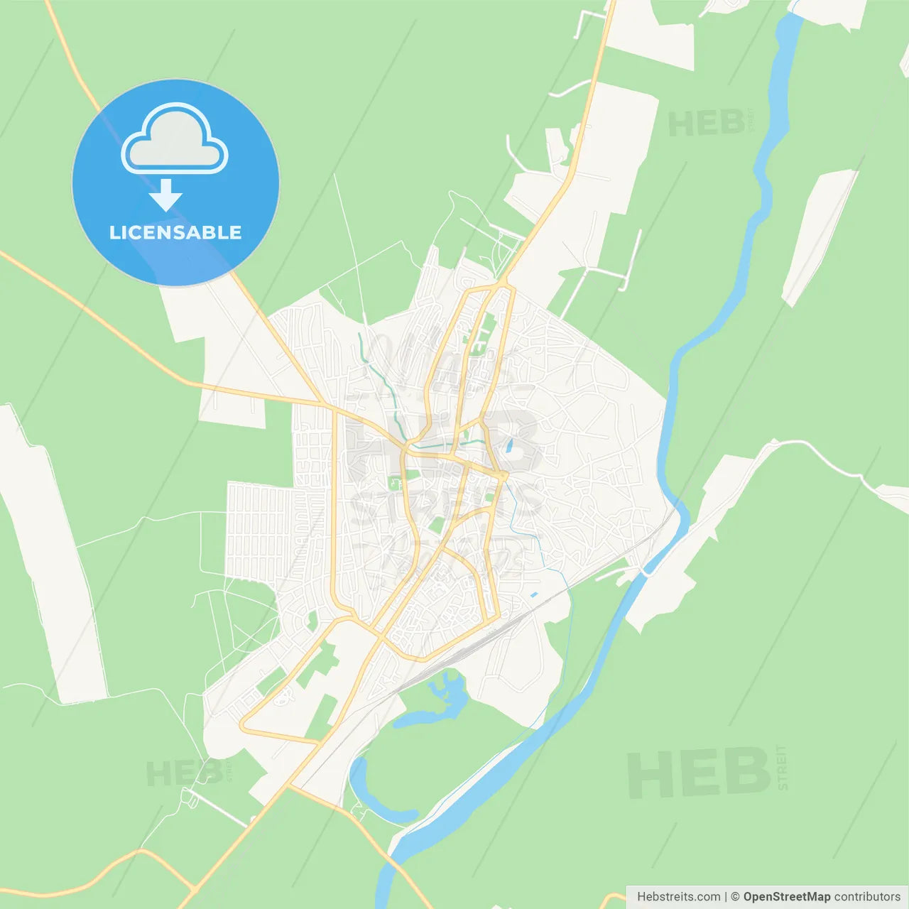 Barlad, Romania Vector Map - Classic Colors