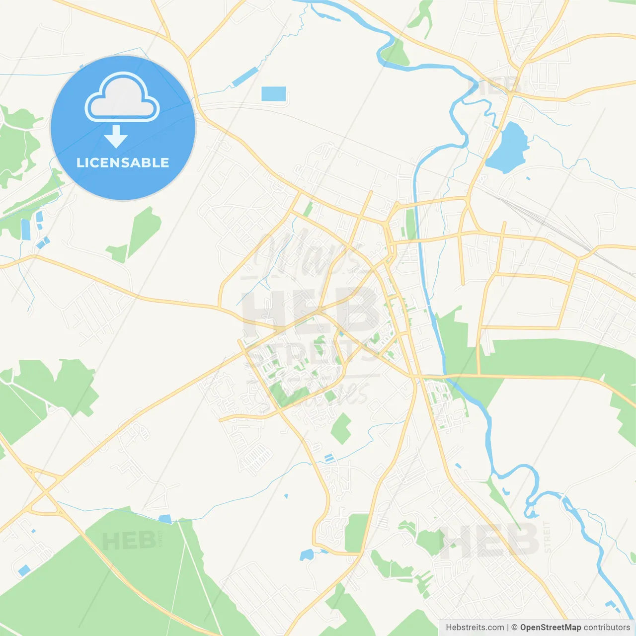 Slonim, Belarus Vector Map - Classic Colors