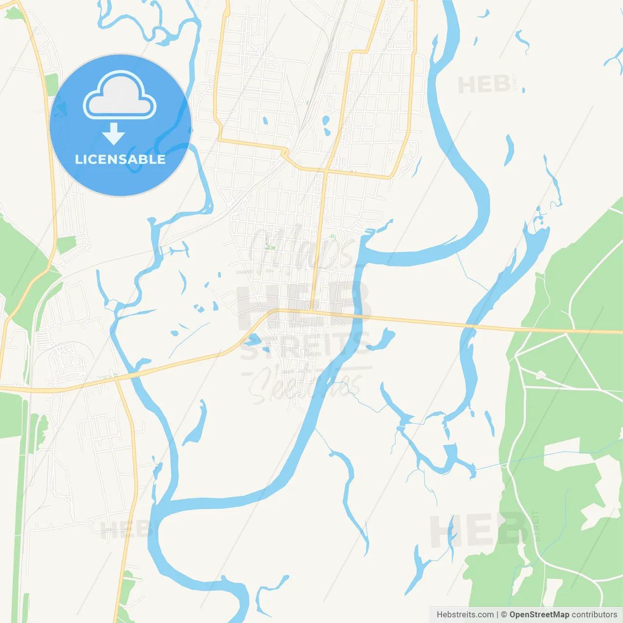 Rahachow, Belarus Vector Map - Classic Colors