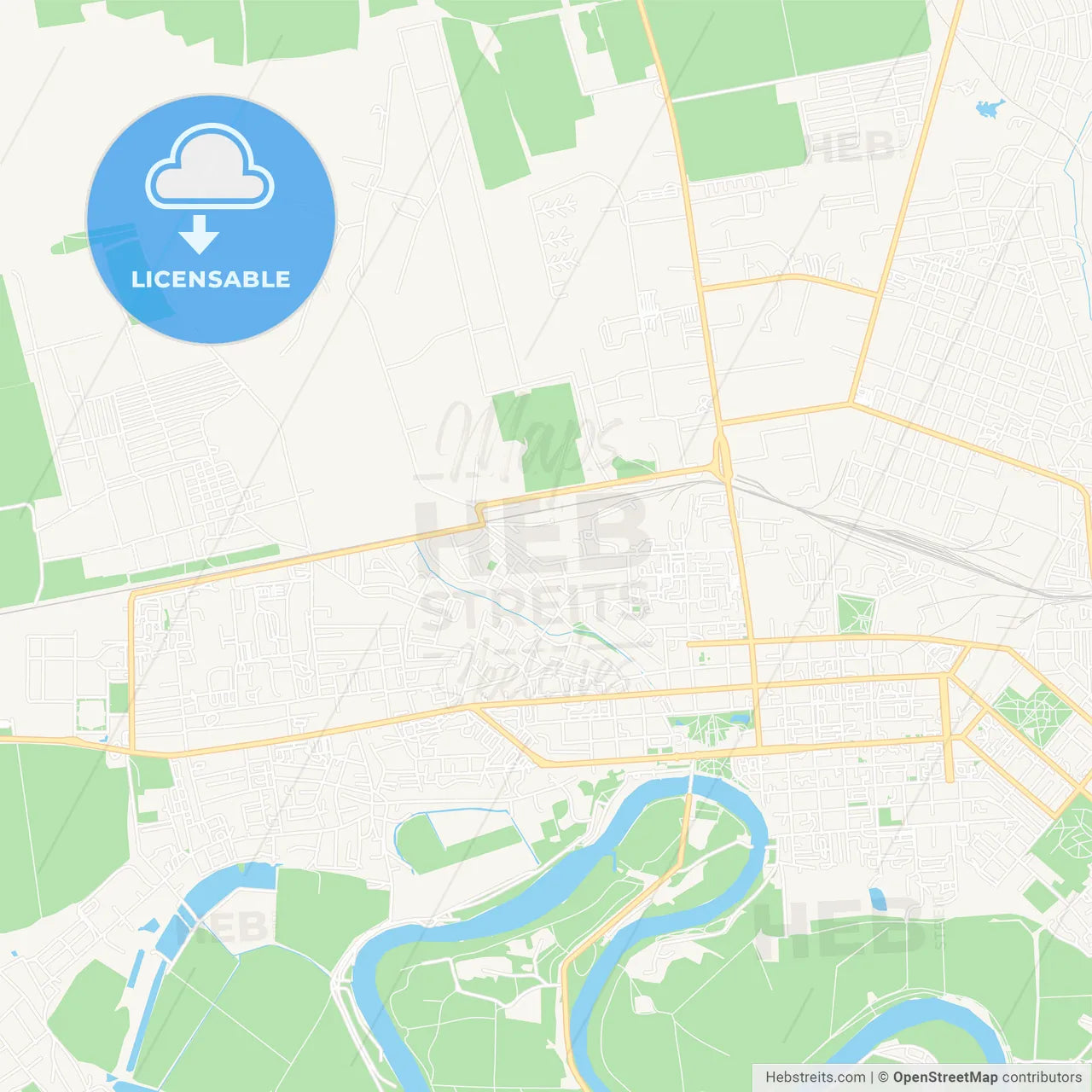 Tiraspol, Moldova Vector Map - Classic Colors