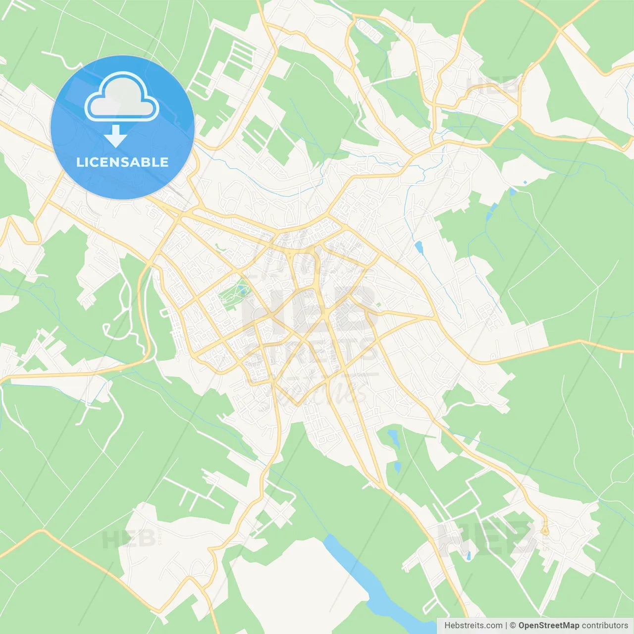 Botosani, Romania Vector Map - Classic Colors