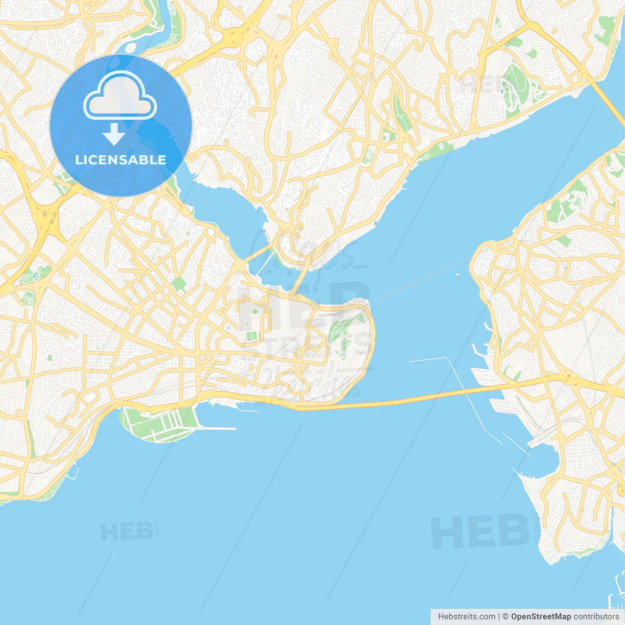 Istanbul, Turkey Vector Map - Classic Colors