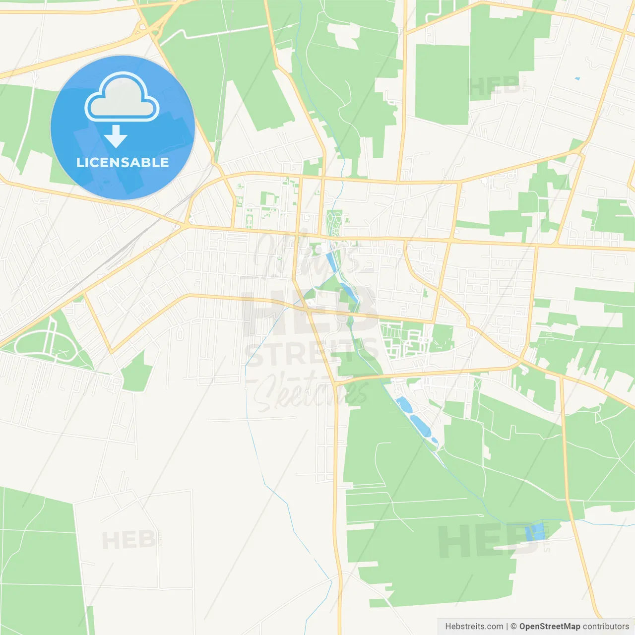 Pabianice, Poland Vector Map - Classic Colors