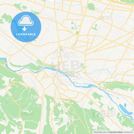 Pau, France Vector Map - Classic Colors